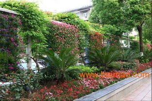 廣東垂直綠化 種植、施工與景觀工程的綜合指南