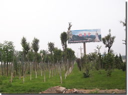 河北邯鄲綠德金園林綠化工程公司 專業鑄就綠色風景，匠心打造河北園林精品