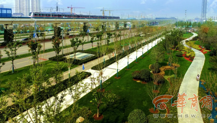 西安歐亞大道變身巨型盆景打卡地，年底將完成全部栽植綠化工程