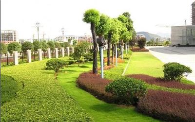 西安綠化工程 城市生態、園林景觀與市政民生協同發展的新篇章